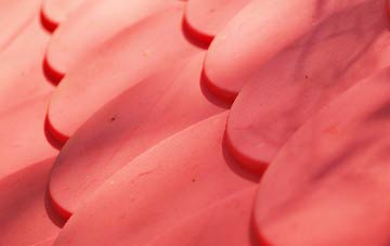 Longnewton plastic roof costs